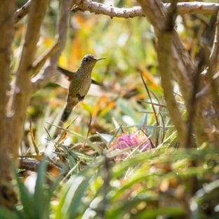 Learn new ways to connect with nature and nurture yourself at the same time. We have partnered with the Guelph Enabling Garden to offer our hospice clients an opportunity to learn more about the health benefits of interacting with nature. 519-836-3921 x 226 to find out more.