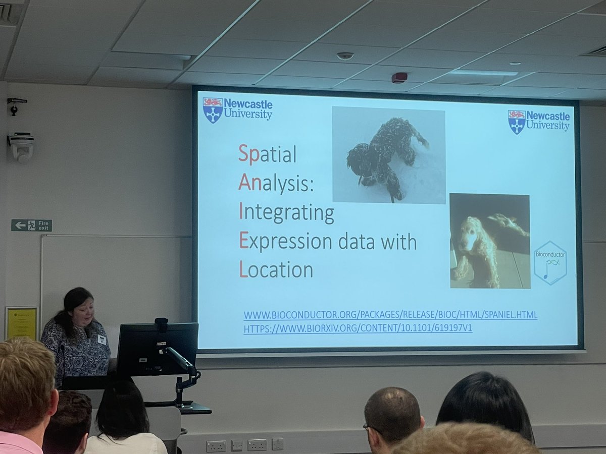 I love love a package which has a funny or cute name but I particularly love it when it includes animal names or pictures of their pets 😍 really enjoyed this talk by @rachelq_ncl #NBUG9