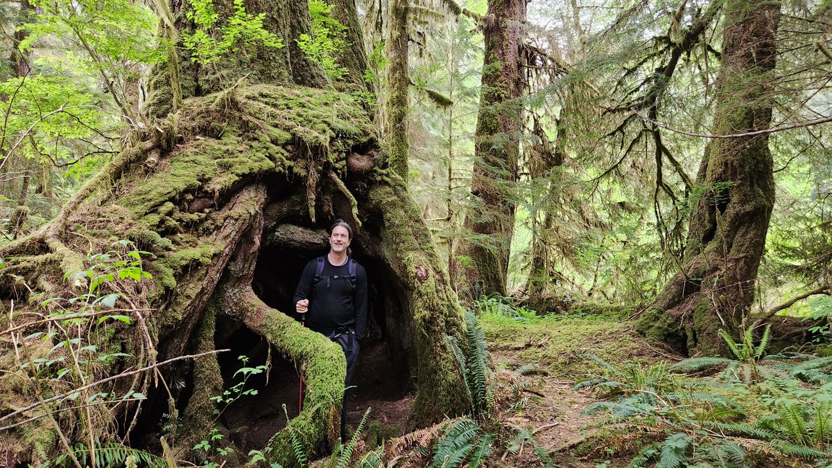 wh0n0z's tweet photo. My son came back smiling from his hike around the Carmannah-Walbran area of Vancouver Island. He described a tree that had fallen as being like standing beside a train. He wasn't exaggerating😮
#bcpoli #saveourforests #parksforpeople #ThirtyinThirty #treesaremagic https://t.co/4sxG7ni2uZ