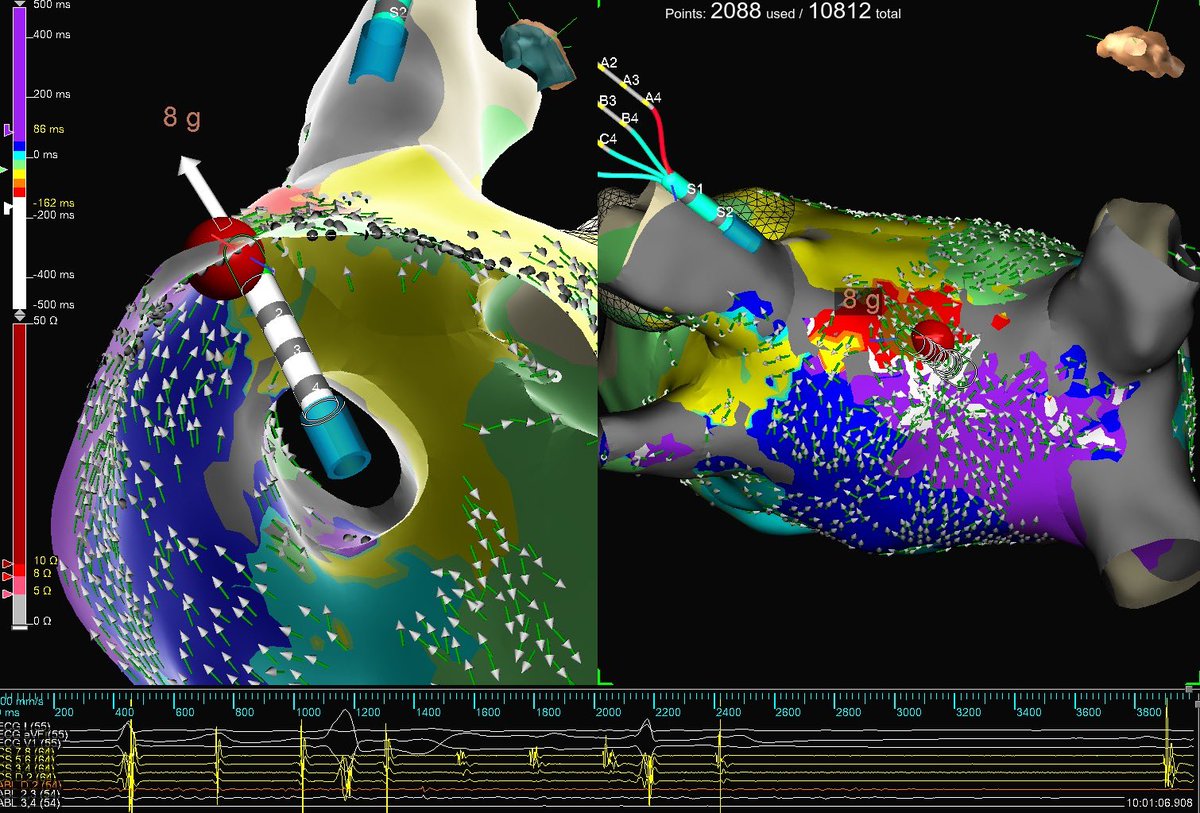 Margaret Boyette Kleiber tweet media
