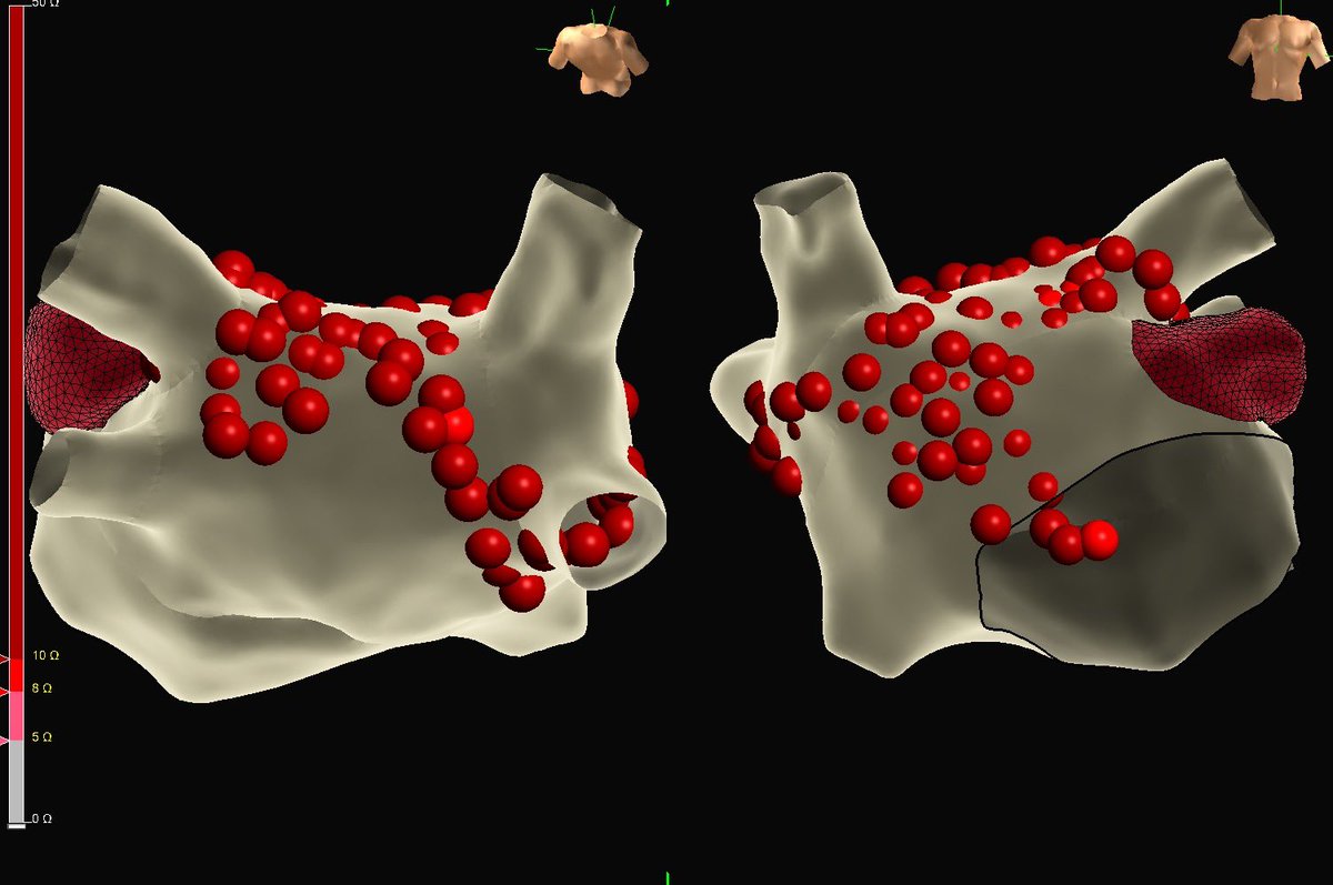 Margaret Boyette Kleiber tweet media