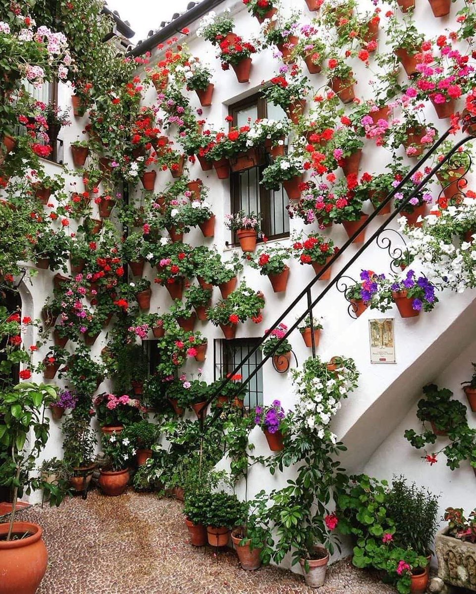Güzel çiçekler ülkesi Cordoba / İspanya