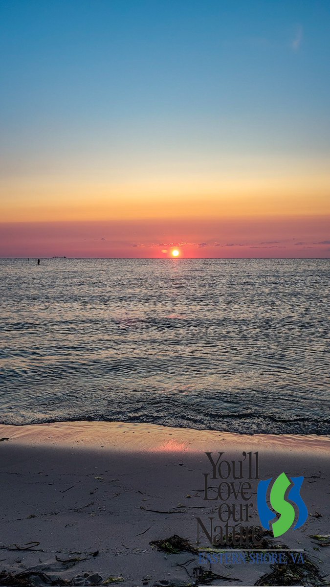 Sunsets over the Chesapeake Bay 🌅 #visitesva #loveva #coastalvirginia #capecharles #ChesapeakeBay