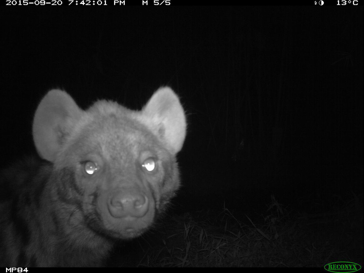 the same picture i think