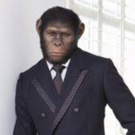 MasterMonkeyD2's tweet image. #NuevaFotoDePerfil