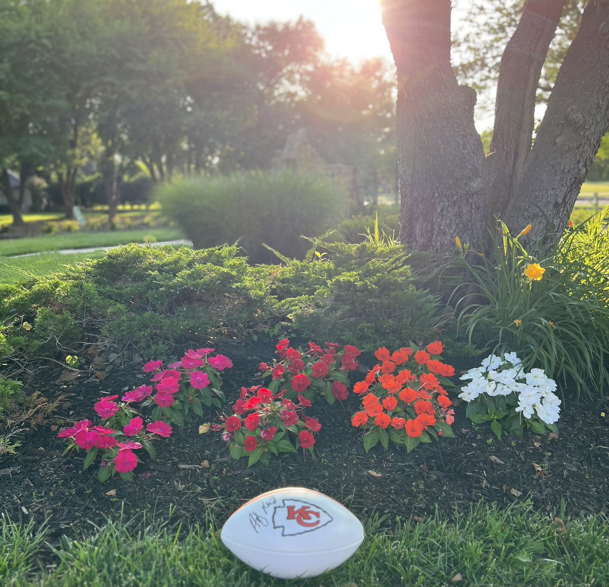 🚨Coaches Against Cancer Item🚨

Big thank you to Coach Andy Reid &amp; the entire Chiefs organization for supporting CAC!

3x Super Bowl Champ- 2 HC/1 AC
AP NFL COY 02
3X Sporting News COY 00,02,18
Pro FTBL WKLY COY 02
4X Maxwell Club COY 00,02,10,18

#10YearsFightingAndSurviving💜