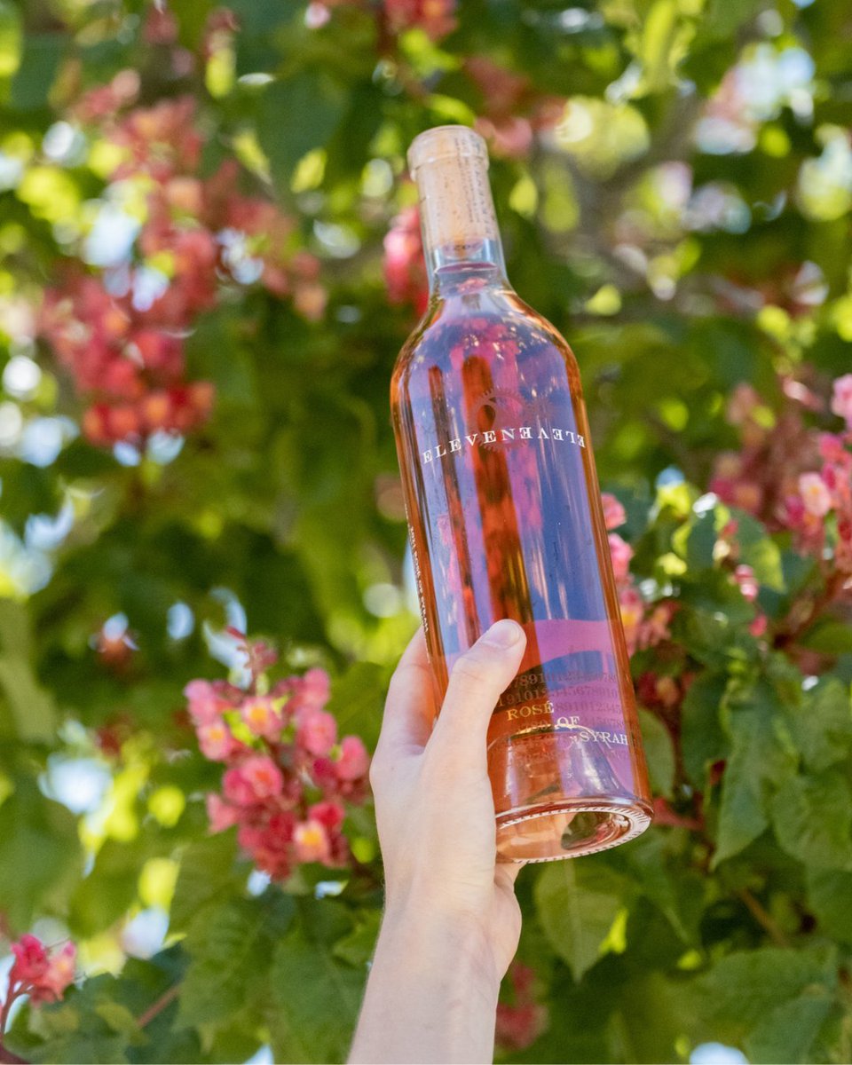 Raise a glass, raise a bottle, raise your spirits!🍷🌸

Here's to the countless ways we can celebrate life's special moments today—with our exquisite 2022 Rosé of Syrah in hand. 

bit.ly/42qOl0h