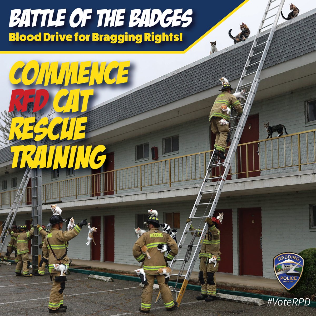 City of Redding tweet media