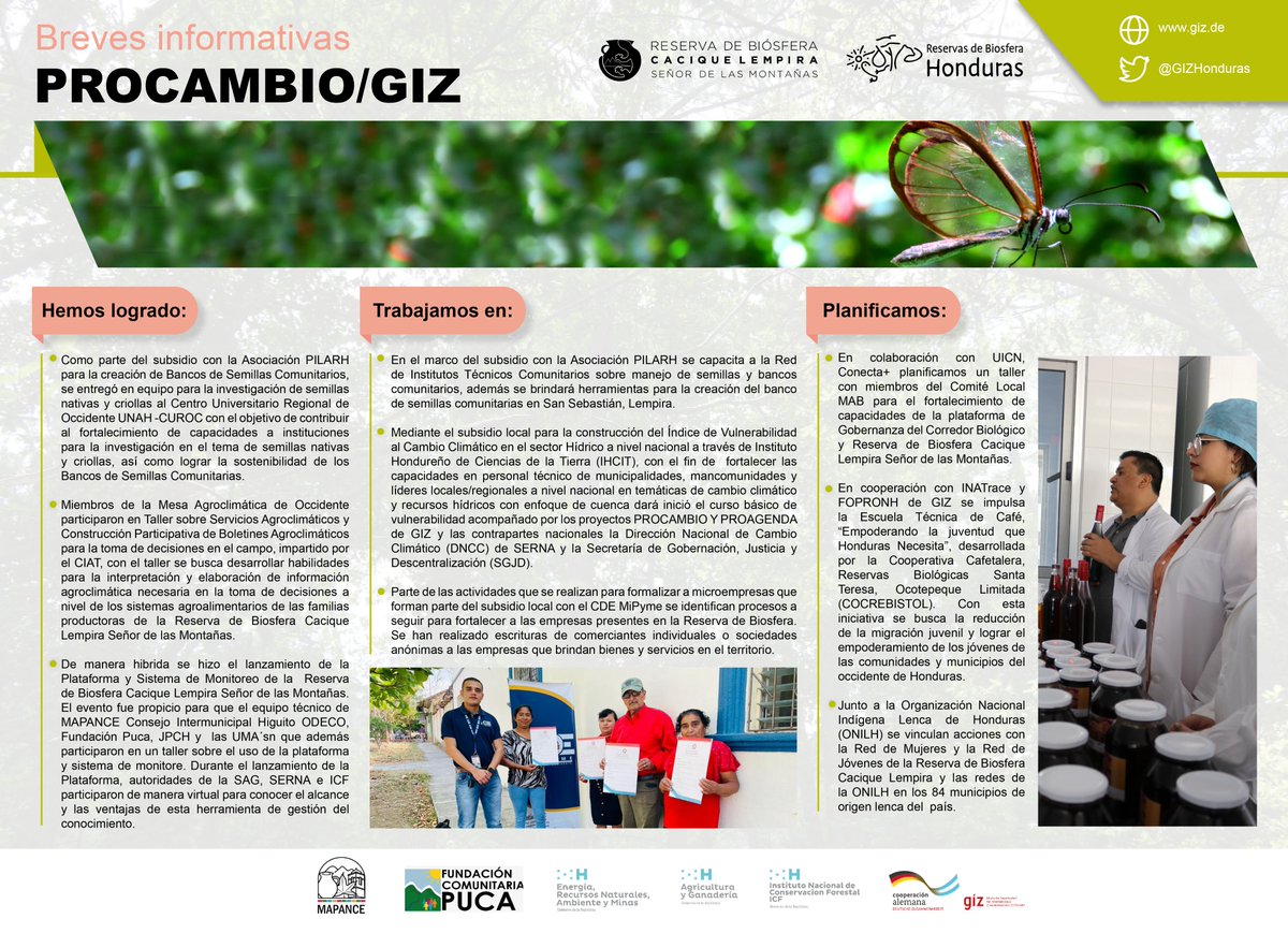 #PROCAMBIO #BrevesInformativas #GIZ #ReservadeBiosfera #CaciqueLempira #SeñordelasMontañas 🇭🇳🇩🇪🌲🌳🫘