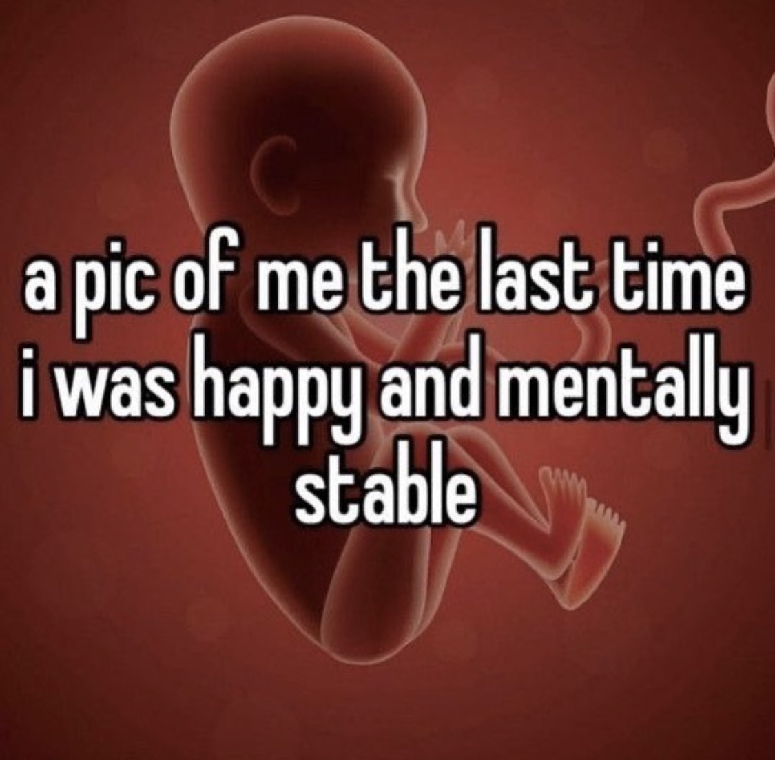 hourly_shitpost's tweet image. 