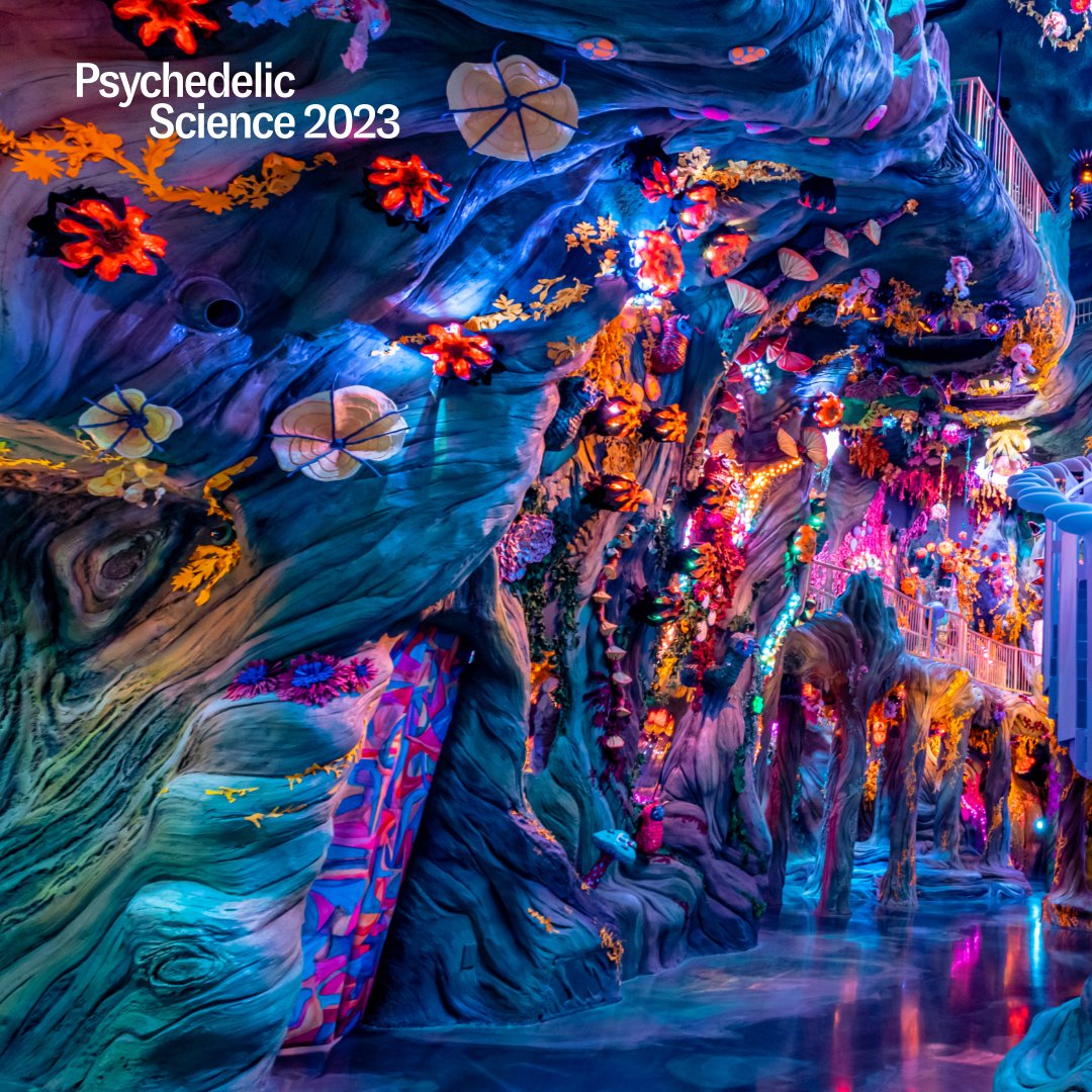 Night at the museum, #PS2023 style! Attendees have a special opportunity to experience @MeowWolf #Denver after normal hours. Visit the Meow Wolf website (bit.ly/3CvWLt1) to buy tickets to Convergence Station for these extra times, and get $10 off with the code MAPS2023.