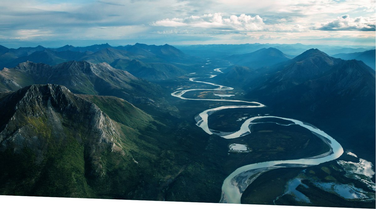 Animikii tweet media