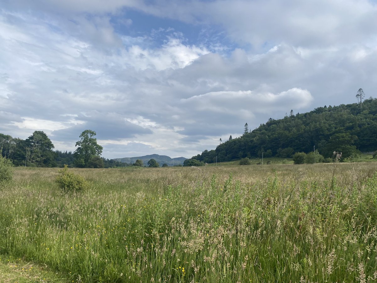 Day 1628 of #1700daysofwalking Fabulous lunch in <a href="/EatatNook/">Nook.</a> with a limincello spritz followed by a walk #Cleveragh