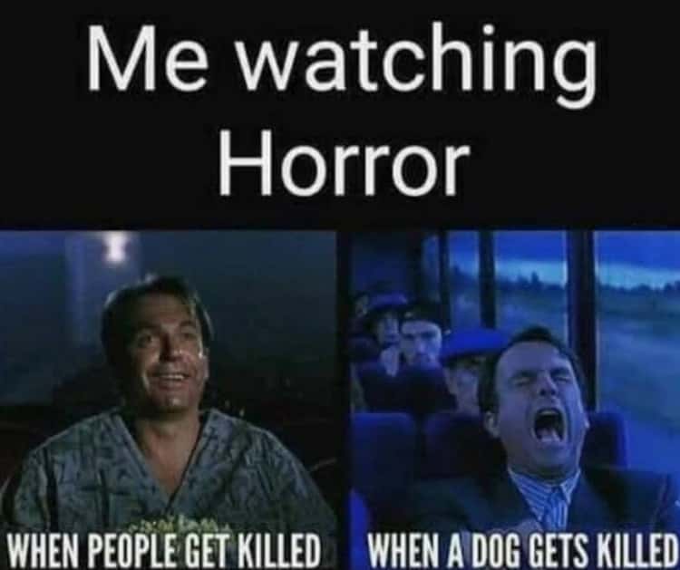 So true since I was a kid
#HorrorMovies #HorrorFamily #horrormovie #horror 😁♥️