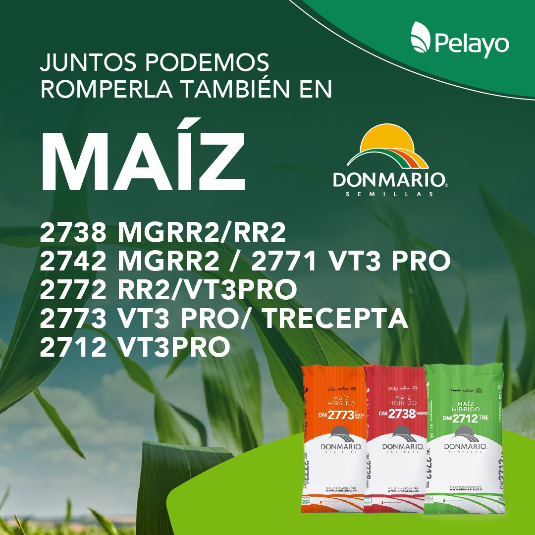 pelayoagronomia's tweet photo. ¡Juntos podemos romperla también en #Maíz!🌽🚀

Te mostramos los híbridos @DONMARIOoficial con que vamos a contar en esta #PreCampaña 

JUNTOS #INNOVAMOS 💪

📲¡Consultá por condiciones comerciales y asegurá el mejor rinde para tu campo con #Pelayo! https://t.co/Y02fBqA2ca