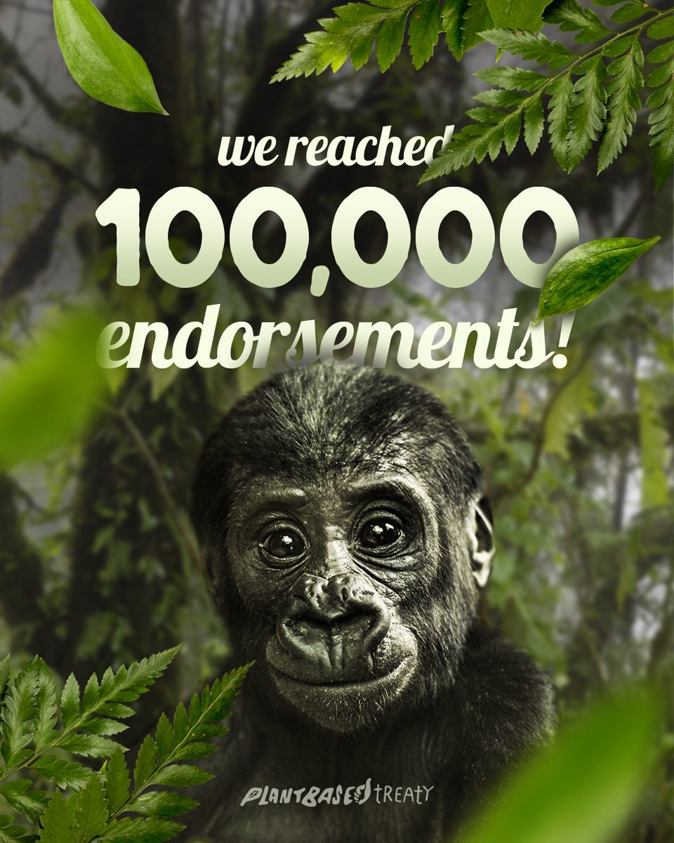 🎉 BREAKING: We've hit 100K endorsers for the #PlantBasedTreaty! 🌱🌍

Thanks to all individuals, businesses, and groups worldwide endorsing the global treaty to combat the climate, ocean, and animal crises.

💚🌱💚