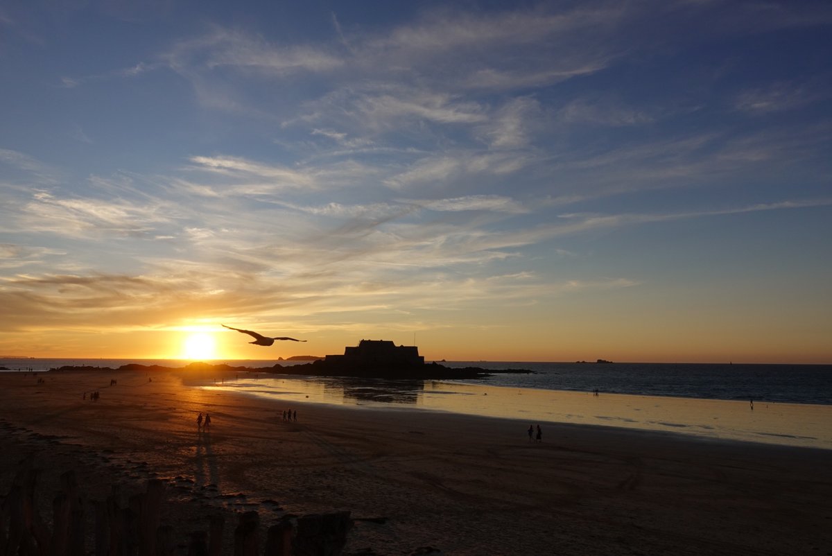 Monica Richards tweet media