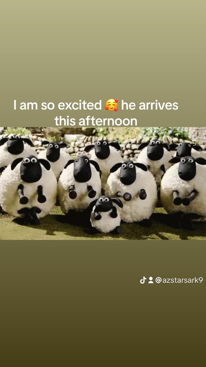 AZ S.T.A.R tweet media