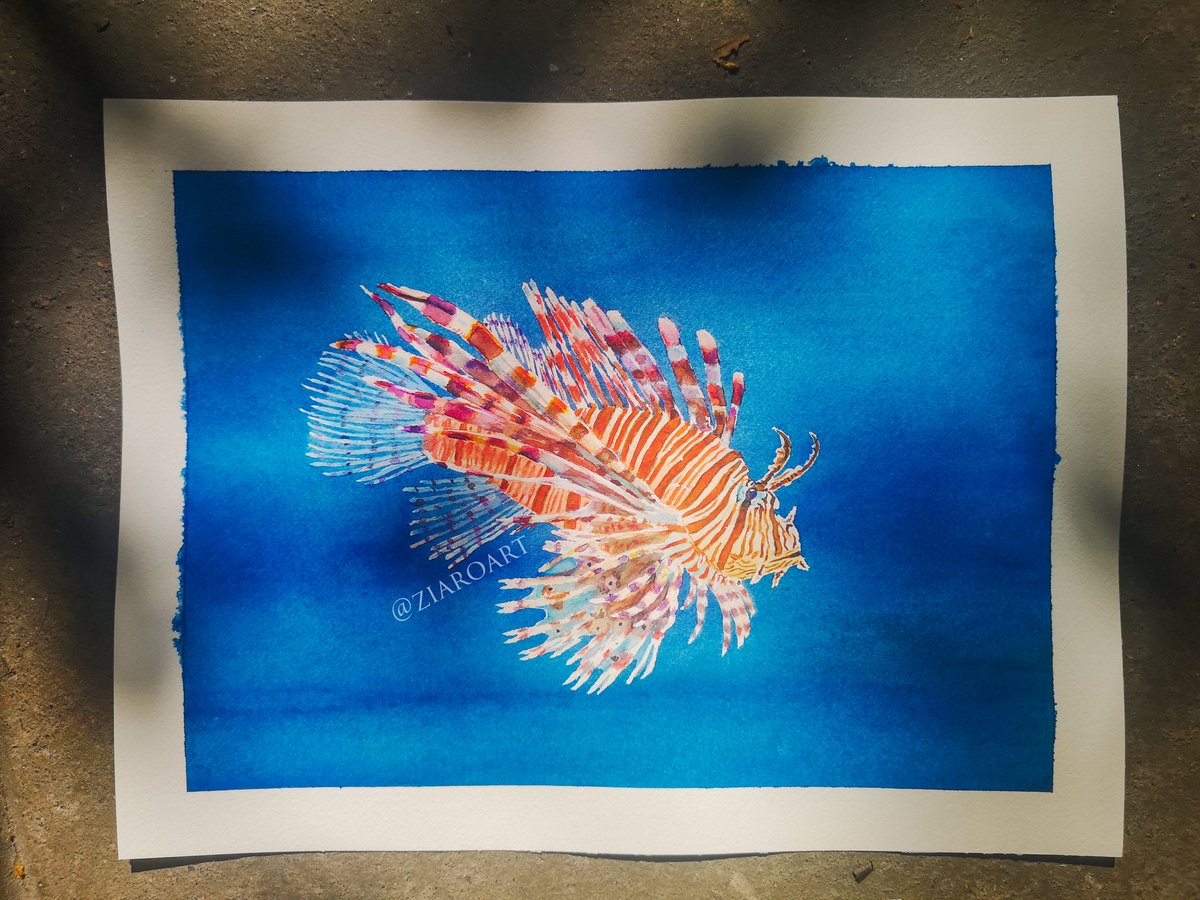 Another lionfish painting!

Stripes are hard with watercolors