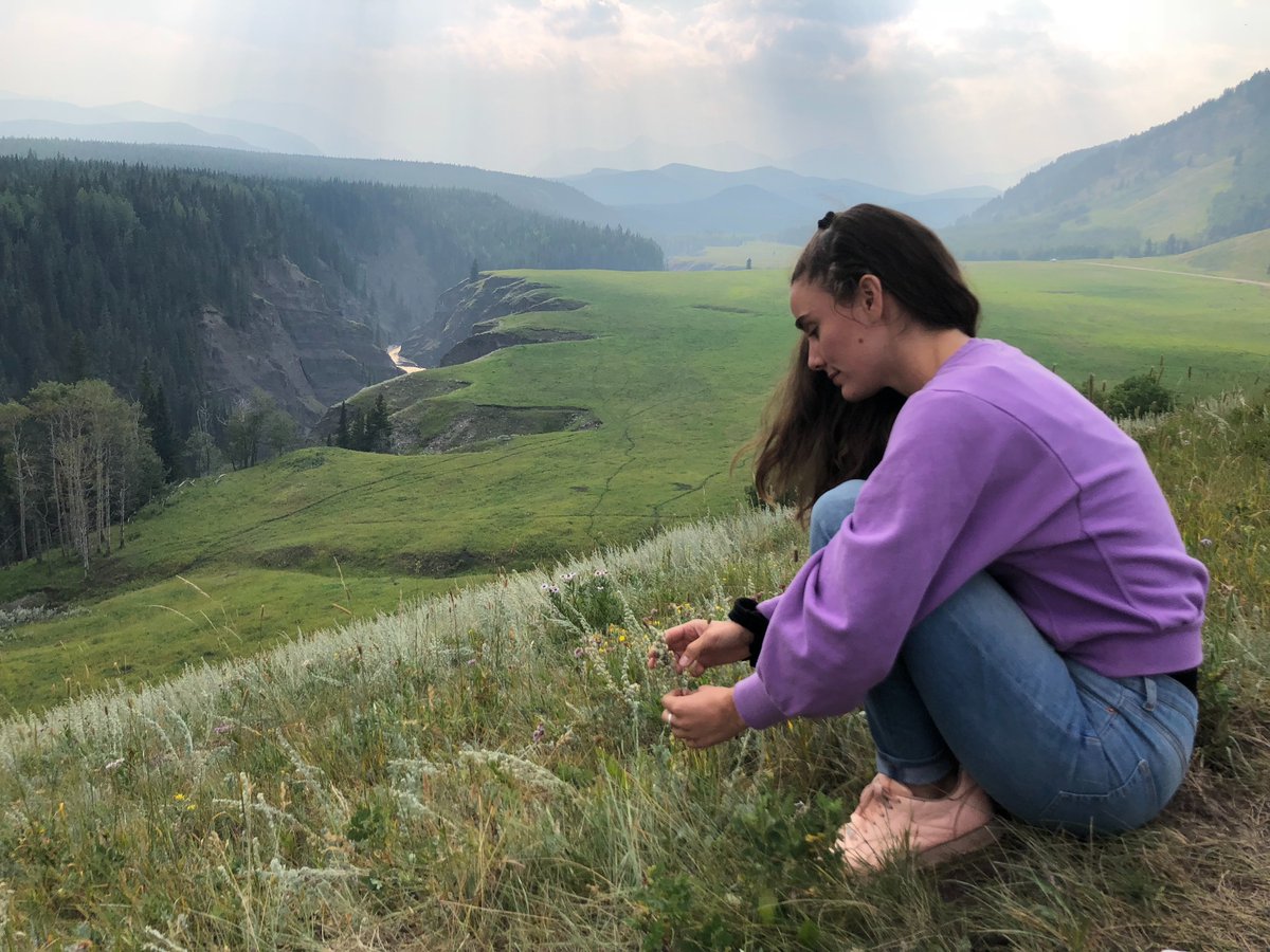 cyberdoodles's tweet photo. GM! Feelin' those Saturday morning vibes? Don't forget to touch grass! ππ¨π¦π #canada #alberta #sheepriver #kananaskis https://t.co/FcXA9ppGXb
