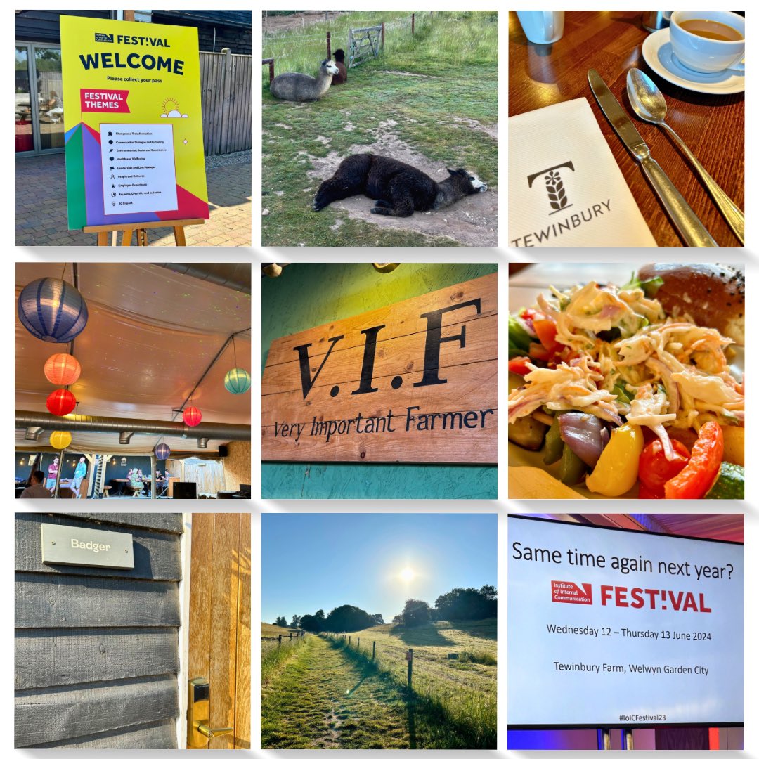 I’m still absorbing everything from what was a game-changing experience at #IoICFestival23 - for now, here’s a visual representation of my two days at Tewinbury Farm! 🦙