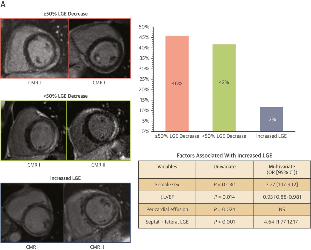 JACC Journals (@jaccjournals) on Twitter photo Do you routinely control #CMR at 3-6 months in case of acute #myocarditis? New data by Dr. <a href="/yohann_bohbot/">Yohann bohbot</a> et al. suggest that this control should be systematic as patients with no decrease, or worse LGE increase are at high risk of #MACE. bit.ly/3Jk9m6i #JACCIMG Do you routinely control #CMR at 3-6 months in case of acute #myocarditis? New data by Dr. <a href="/yohann_bohbot/">Yohann bohbot</a> et al. suggest that this control should be systematic as patients with no decrease, or worse LGE increase are at high risk of #MACE. bit.ly/3Jk9m6i #JACCIMG