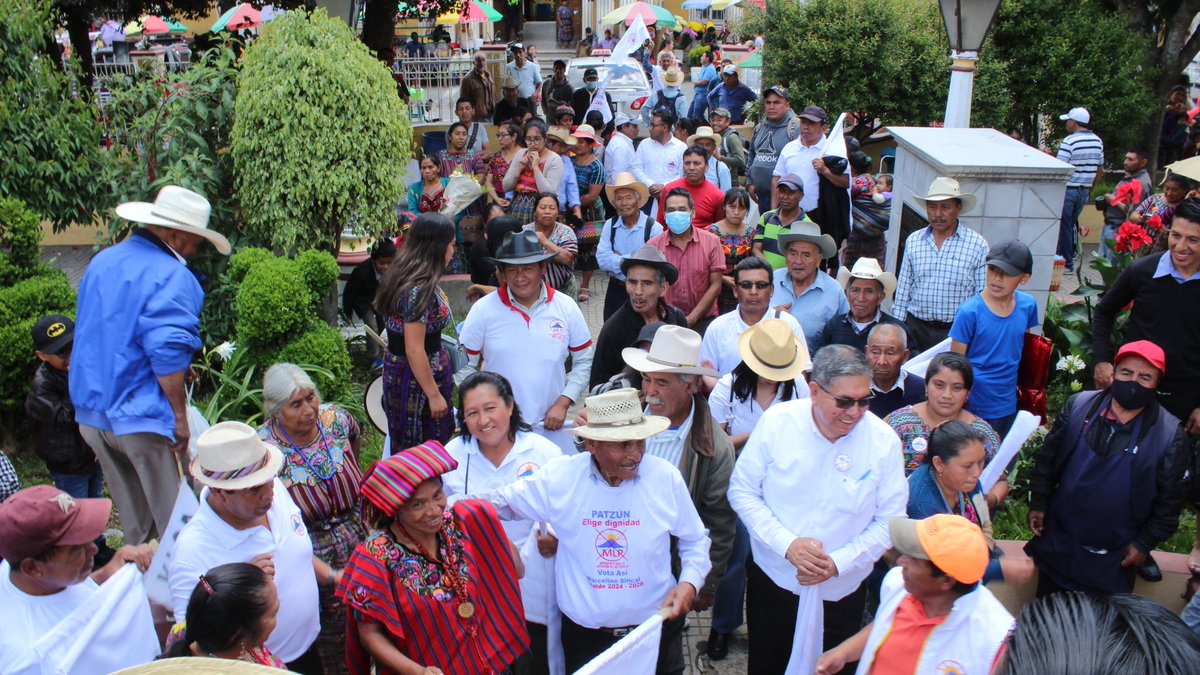 MLP Guatemala (oficial) tweet media