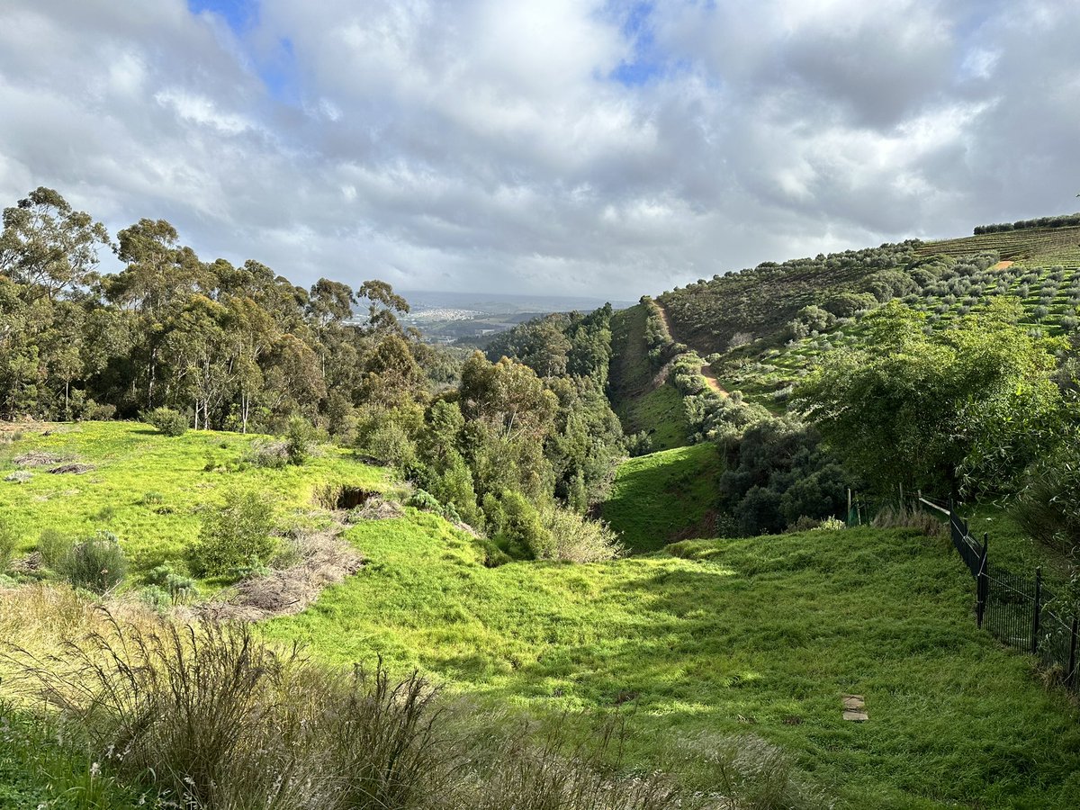 Dr.Itumeleng Moroenyane 🇿🇦🏳️‍🌈 tweet media