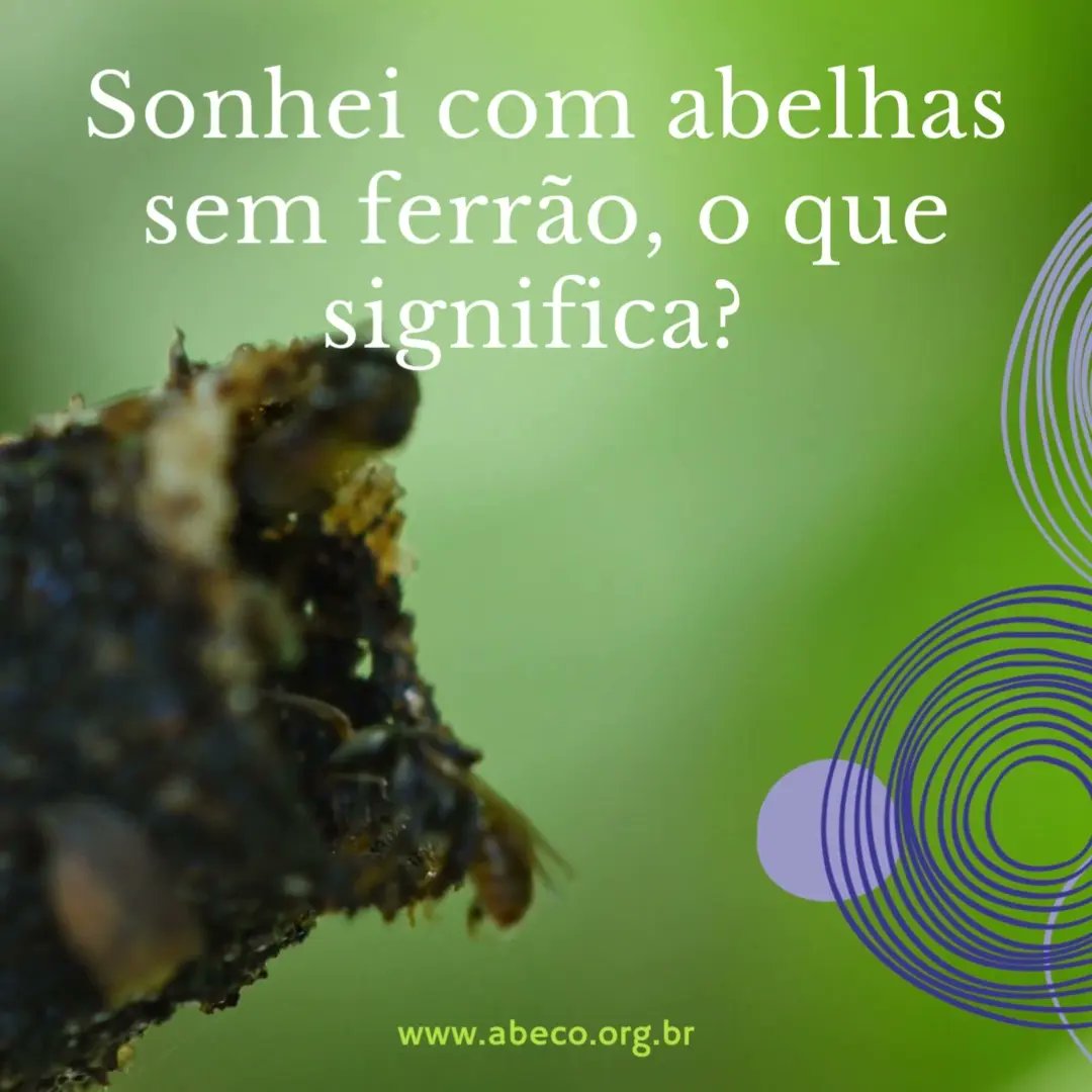 abecobr's tweet photo. A #polinização das #abelhasnativas é central na #segurançaalimentar, aumentando a produtividade de #espécies como a #castanha-do-Pará. A #criseclimática limitanda suas áreas de ocorrência. Acesse #ciência de qualidade e gratuita e saiba mais #PECON
https://t.co/89Bjyn61Pt https://t.co/aXPZDVZPRN