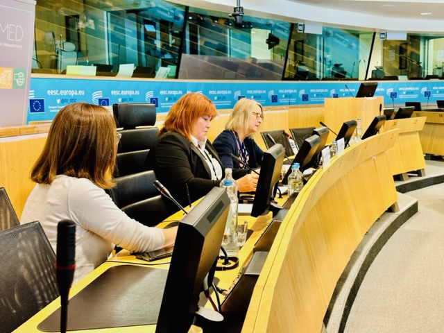 Bringing the curtain down on this extraordinary day!

▶️ The closing session looks back at the steps taken, the lessons learnt and the considerable impact achieved in enhancing the performance of #Mediterranean Business Support Organisations #BSOs.

#EBSOMEDClosing #EBSOMED
