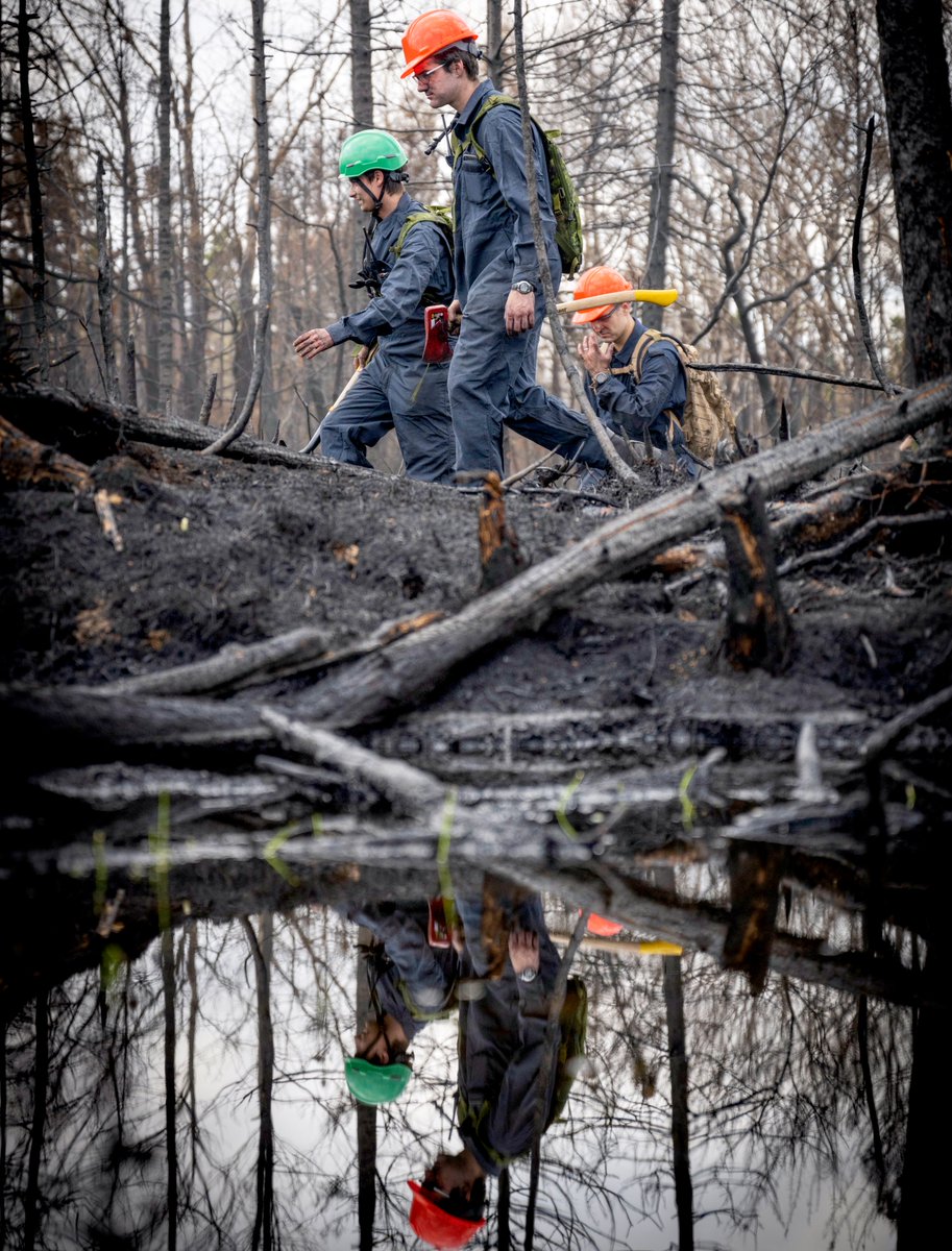 #PhotoOfTheWeek - Giving Canadians a helping hand.   

Members from Joint Task Force Atlantic’s Immediate Response Unit conduct Type 3 Wildland firefighting under Operation LENTUS 23-02 in Shelburne County, Nova Scotia on 10 June 2023.   

Photo By: WO James Roberge