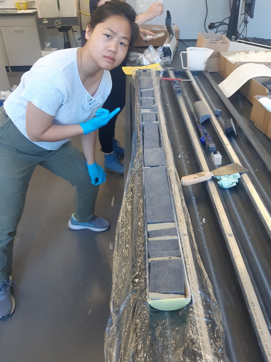 Peral Marion tweet media