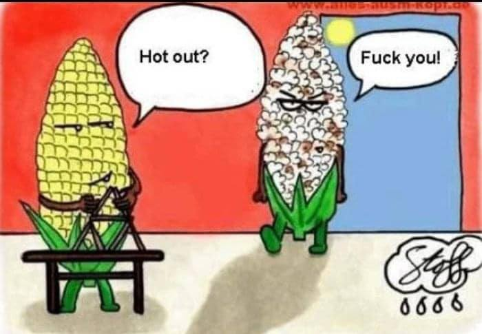 MJdowntheshore's tweet photo. Good Friday morning, NM. Roll call.  Ready for the dry heat? Me neither. But now I have lots of shade outside to relax in. Took a day to do errands so not a lot done in the yard. The promised winds were nada. https://t.co/qMKBJeiPxZ