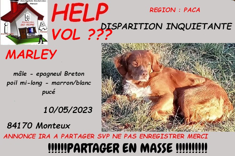 Kate23170's tweet image. merci de RT pour nous aider a retrouver MARLEY disparu a Monteux 84170 depuis le 10/05/2023 svp . si infos : 06.88.22.22.06 ou 07.68.67.62.90

CONTACT FB : facebook.com/profile.php?id…

ou MP à @Kate23170