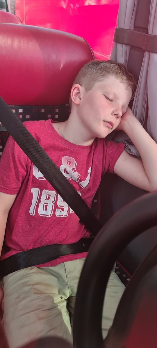 OWPStoucans tweet media