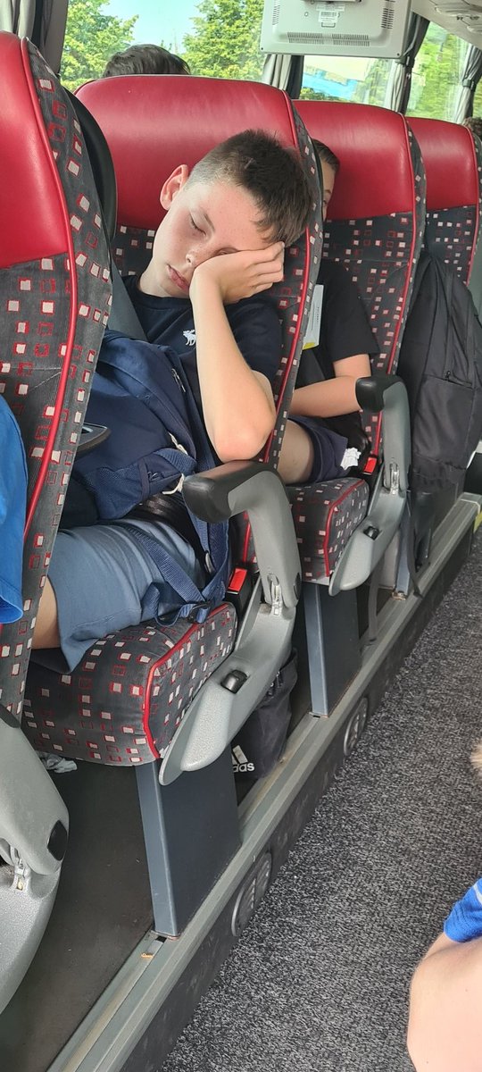 OWPStoucans tweet media