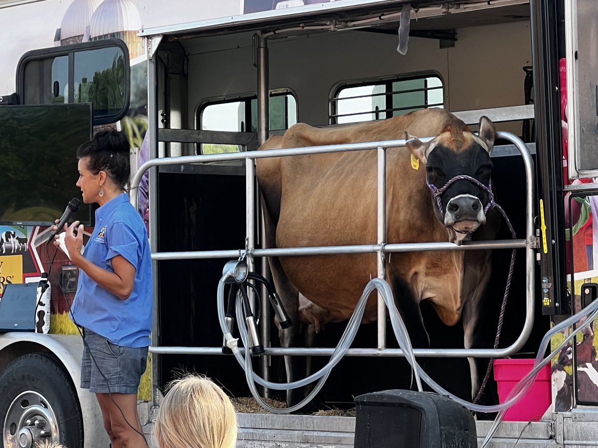 Holy cow, what a morning at <a href="/WHWildcats/">Warren Hills Elementary</a>! Students got to learn about how a dairy farm works and the science behind their milk. #LPSSummer2023