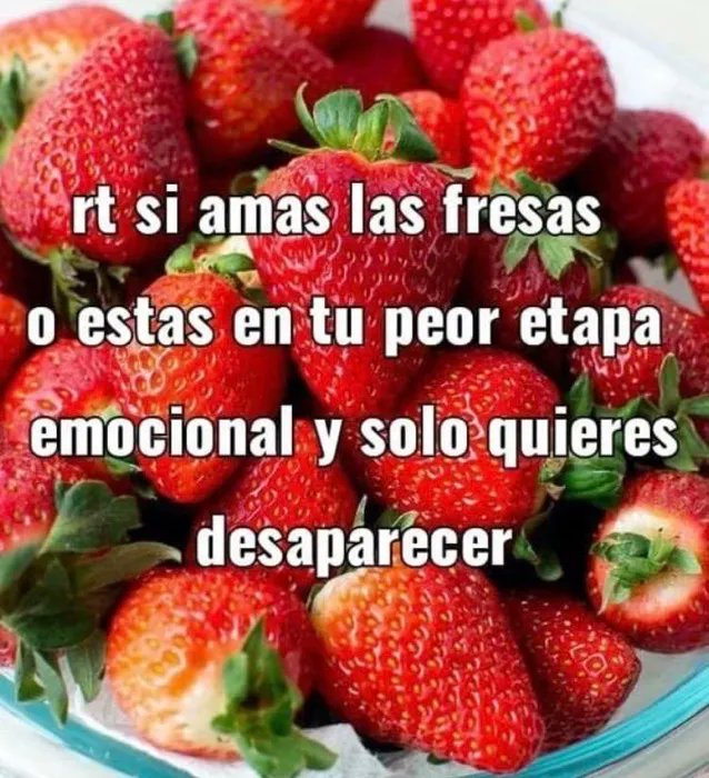 Memakker (@memakker) on Twitter photo 