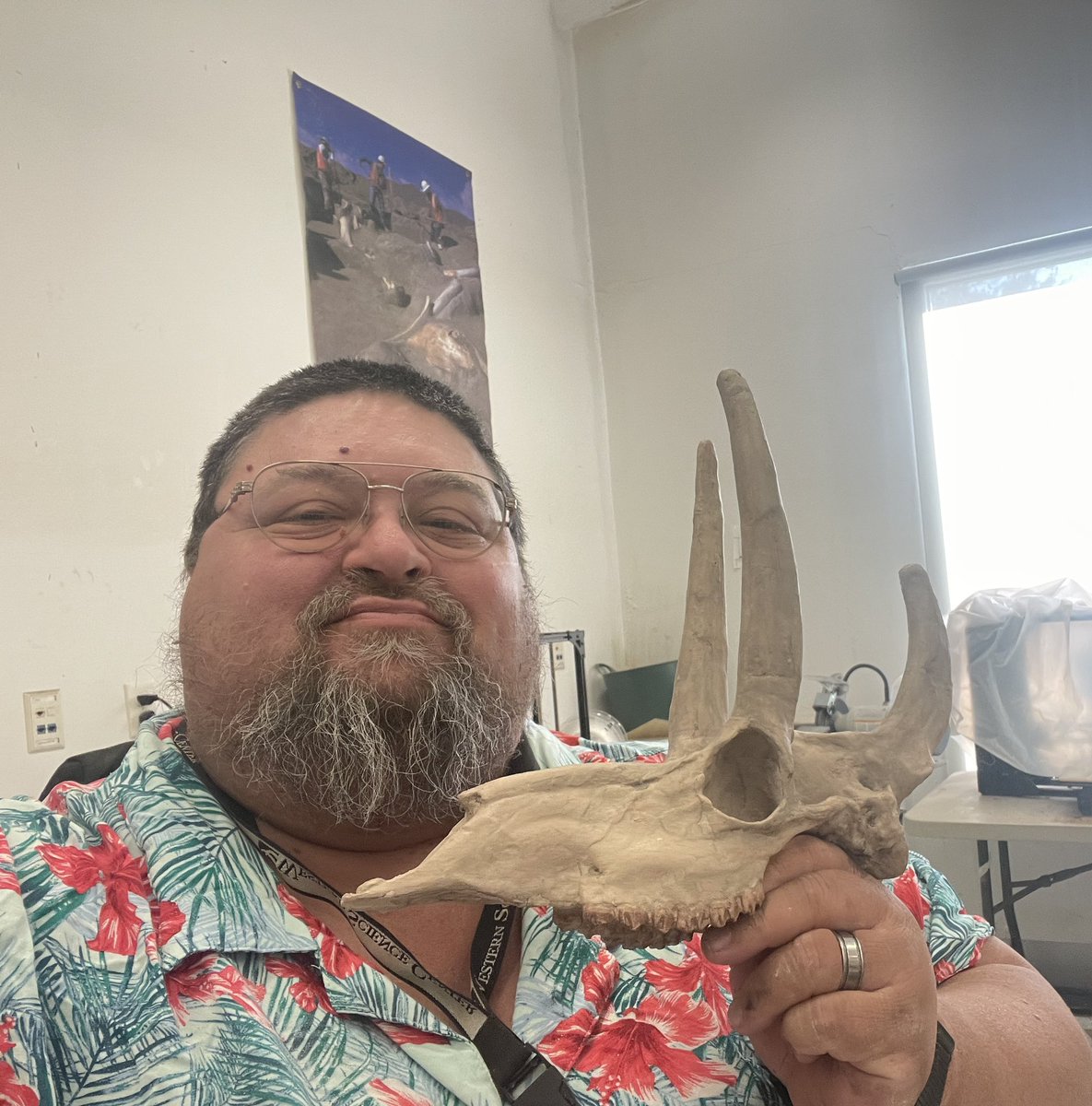 Dr. Alton Dooley 🇺🇦 (@altondooley) on Twitter photo A #3dprint of the palaeomerycid Procranioceras. Palaeomerycids are an extinct artiodactyl family known for their elaborate horns. Print based on a scan provided by <a href="/MorrillHallUNL/">Morrill Hall (UNSM)</a> & will be featured in an exhibit opening <a href="/WesternCenter/">Western Science Center</a> this August. #FossilFriday #Miocene A #3dprint of the palaeomerycid Procranioceras. Palaeomerycids are an extinct artiodactyl family known for their elaborate horns. Print based on a scan provided by <a href="/MorrillHallUNL/">Morrill Hall (UNSM)</a> & will be featured in an exhibit opening <a href="/WesternCenter/">Western Science Center</a> this August. #FossilFriday #Miocene