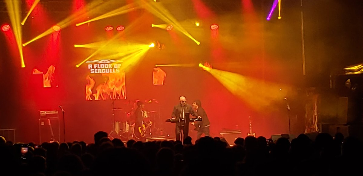 Flock od Seagulls, at the Sound of Music Festival, 2023 Burlington Ontario 
#BSOMF
@REALSEAGULLS  #soundofmusic  #burlington