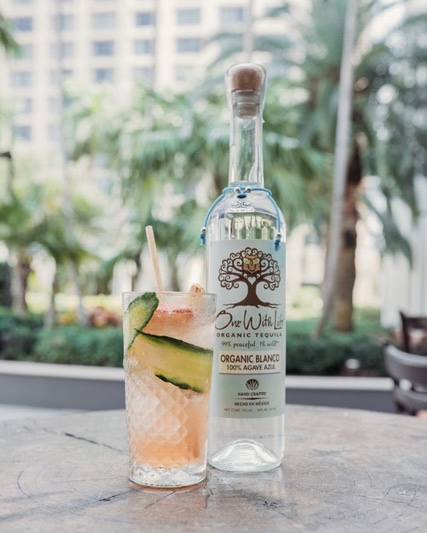 🥒This cocktail is as cool as a cucumber🥒 
-
CUCUMBER PALOMA:
3 parts organic grapefruit juice
1. 5 parts OWL Organic Tequila
splash of club soda or sparkling water
long slice of cucumber
-
Thank you @roccostacos for this amazing recipe!
-
 #Drinksoutloud #CraftedMixology #chill