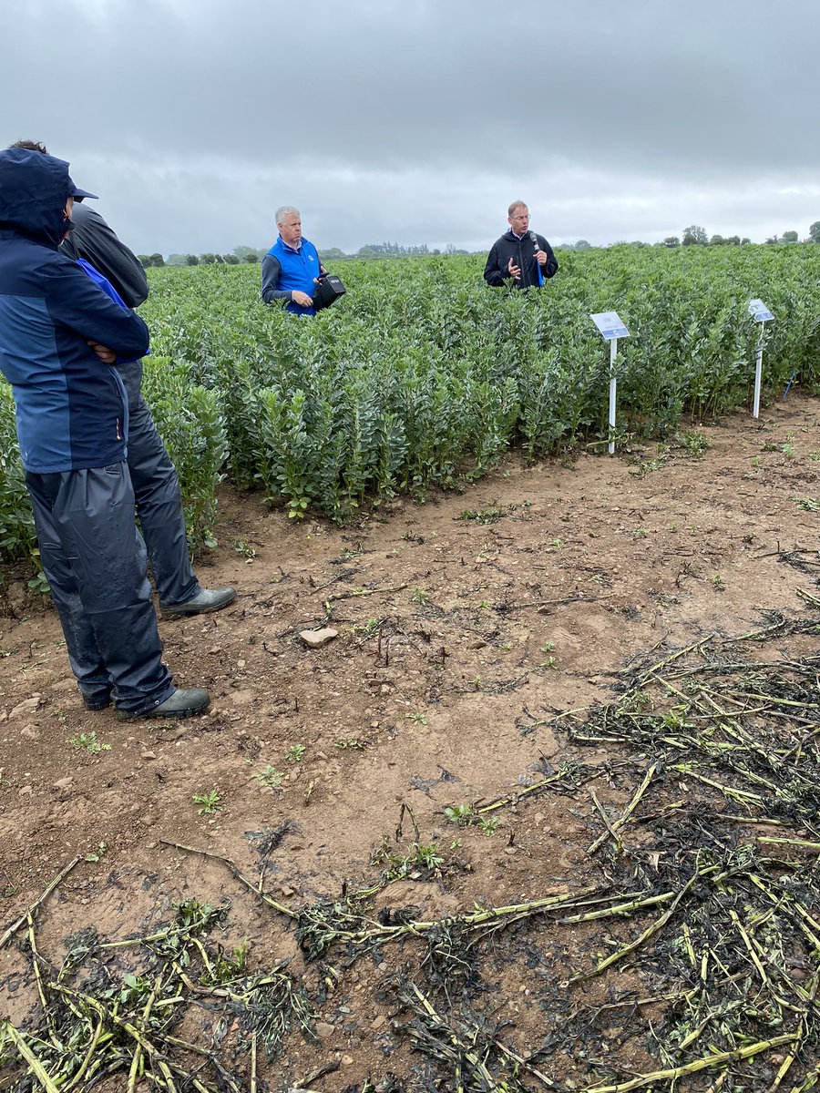 Great day lots of information and loads to see <a href="/Goldcrop/">Goldcrop</a> well done John <a href="/John_Dunne_/">John Dunne</a> <a href="/DonieFitz/">Donal Fitzgerald</a>  well done lads