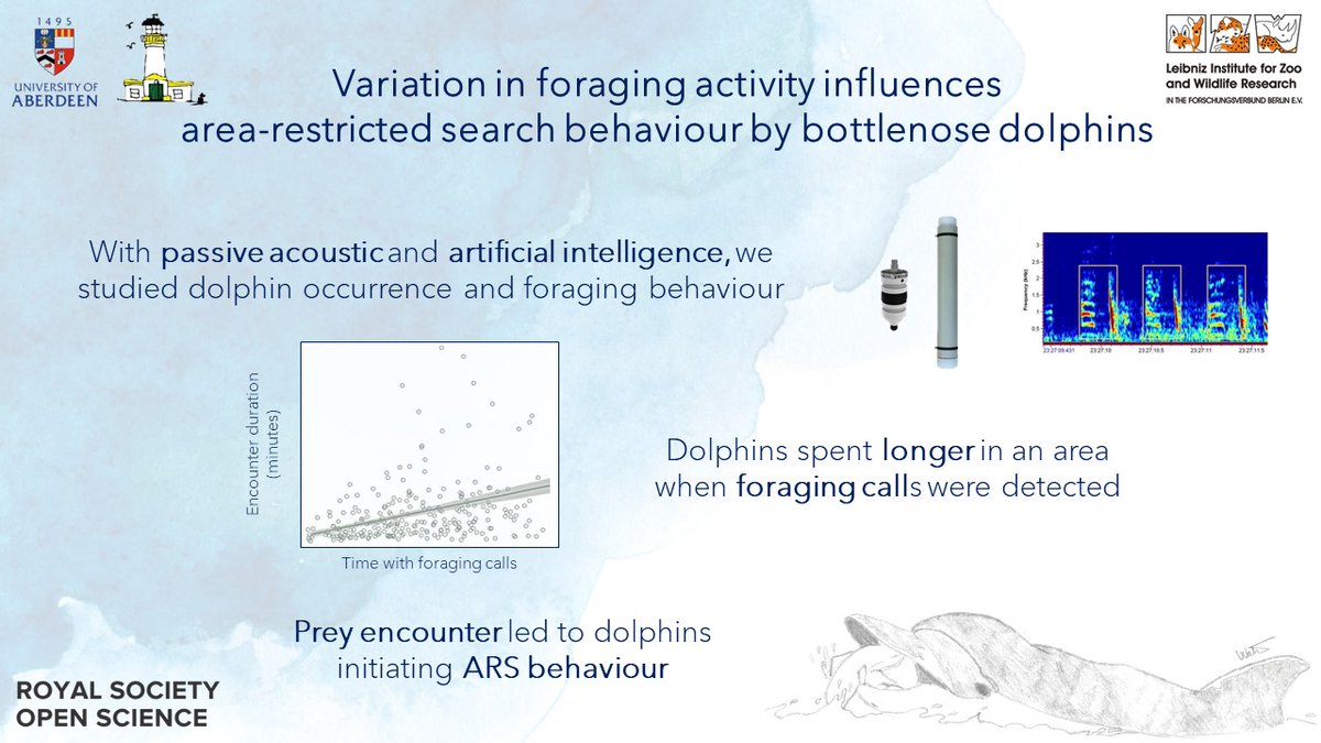 Did you know that AI can detect dolphins?
Check out our latest #LHSciencePaper:
We developed an automatic detector 🤖 of dolphin calls to prove that 🐬 engage in area-restricted search behaviour when they encounter 🐟
#openaccess ➡️ royalsocietypublishing.org/doi/10.1098/rs…