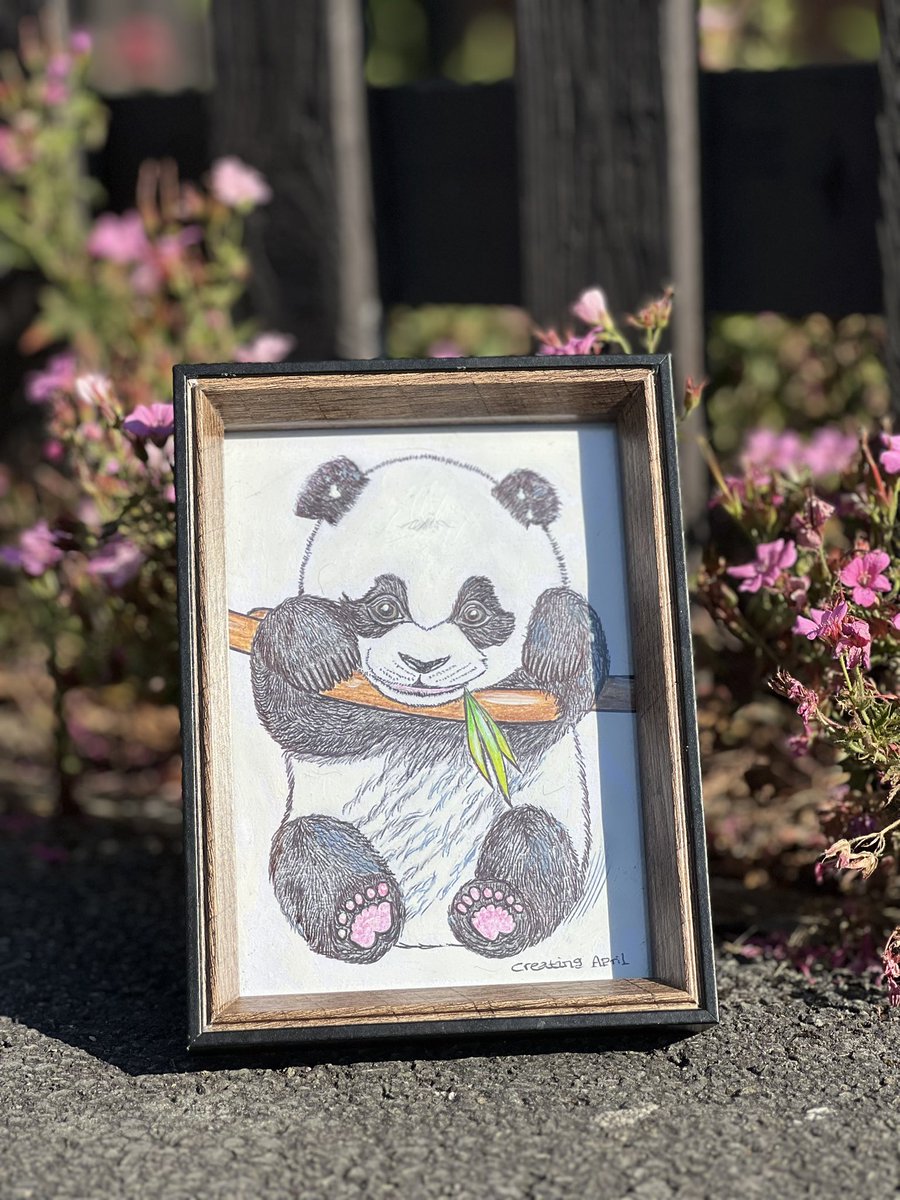CreatingApril's tweet photo. Introducing ‘Cutie Bambooie’ 🐼 ♥️
#panda #animalart #pandaart #yorkartist #localartist #madeinyork #madewithlove #art #madeinyorkshire https://t.co/6tAPwQoNSF