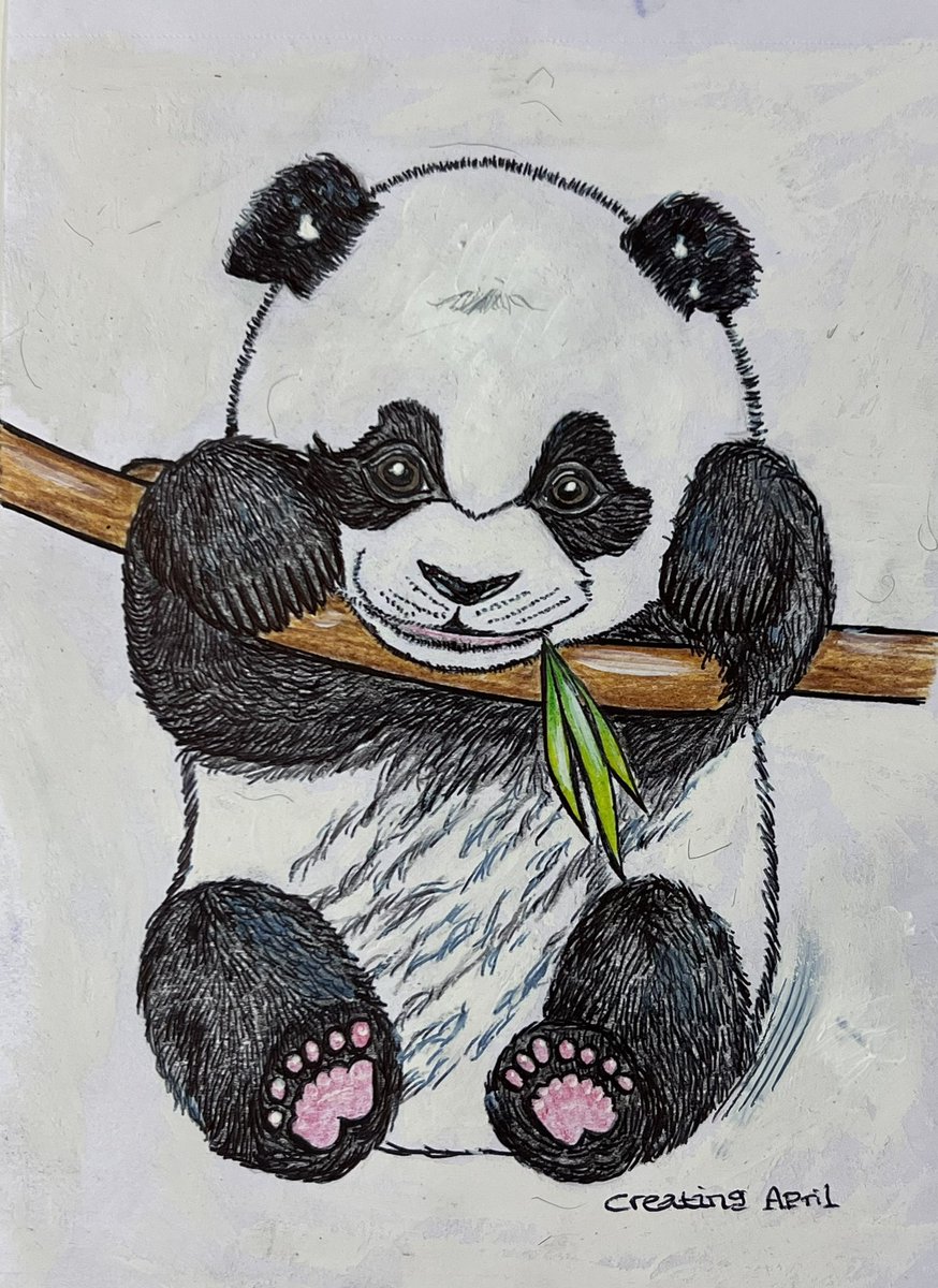 CreatingApril's tweet photo. Introducing ‘Cutie Bambooie’ 🐼 ♥️
#panda #animalart #pandaart #yorkartist #localartist #madeinyork #madewithlove #art #madeinyorkshire https://t.co/6tAPwQoNSF