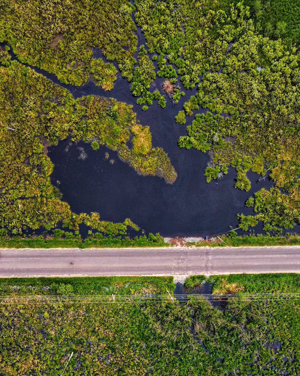 The road less travelled 🛣️ 

📸 @canoe_carrier

#ComeWander #RoadLessTravelled #Perspective #Ontario #OntariosHighlands #LandscapePhotography #WildlyAuthentic #NaturallyLA #InFrontenac #MyHaliburtonHighlands #LanarkCounty #OttawaValley #Road #Driving #Travel #Travelling