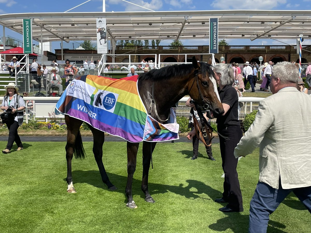 RacingWithPride tweet picture