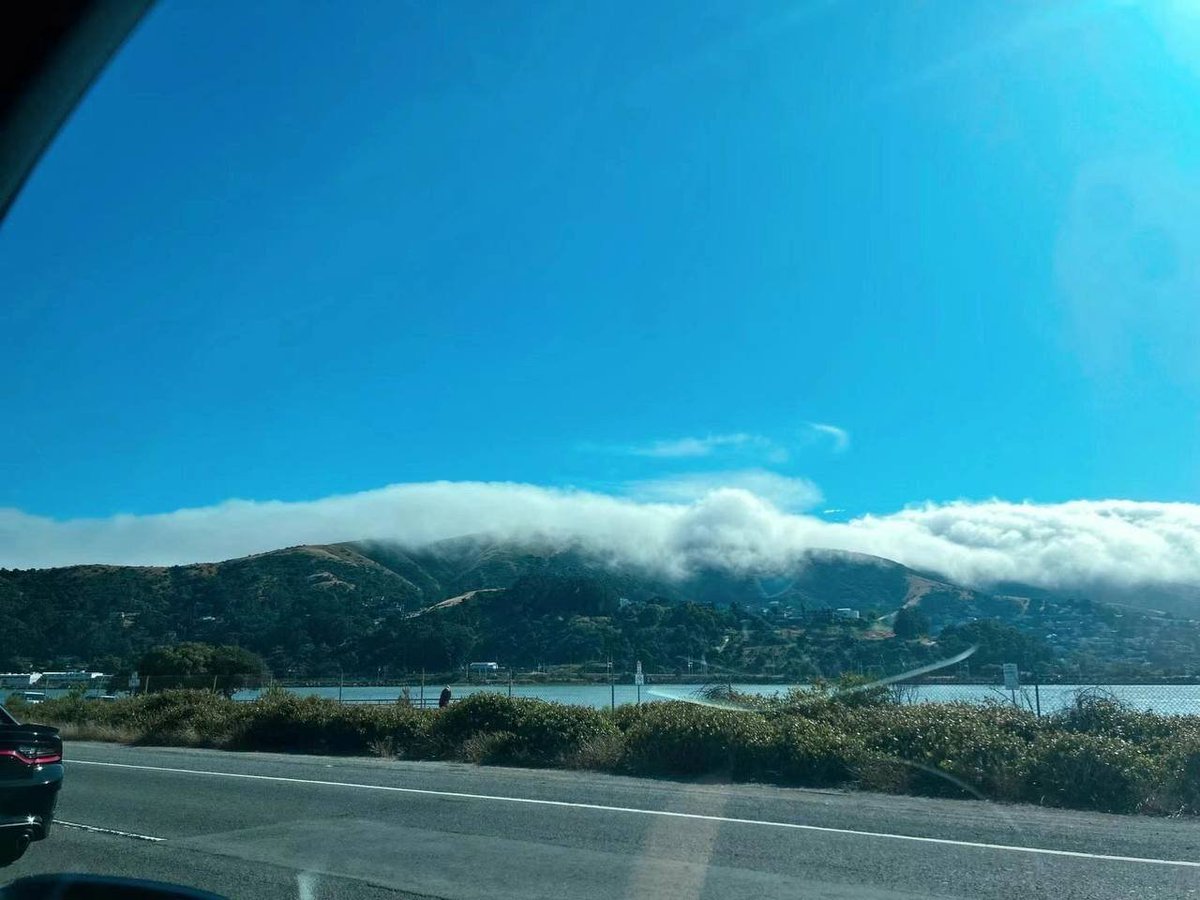 rubycalime84's tweet image. Remember time travel and enjoy everything and also visit some friends #San Francisco