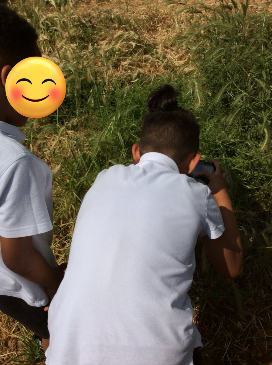 FoxfldPlum's tweet photo. This week we discussed the use of documentaries and focussed on the technique of macro photography.After analysing  macro photographs we went to our forest area to take our own close up https://t.co/65glfHFZpO was fun! https://t.co/YNhhpTMhyr
