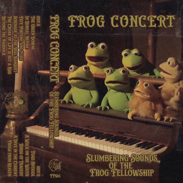 I just found some Frog dungeon synth called “FROG CONCERT” (it has 70-80’s BBC programming vibes) and it unironically kicks ass